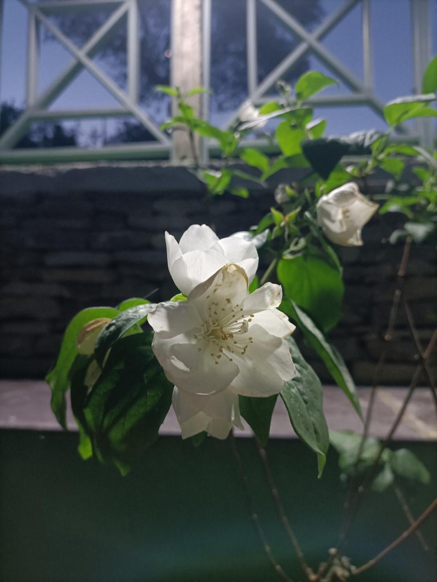 Casa Del Canta 보르고말 외부 사진