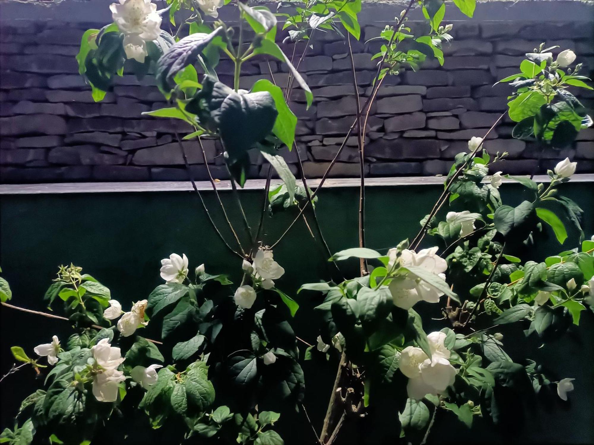 Casa Del Canta 보르고말 외부 사진